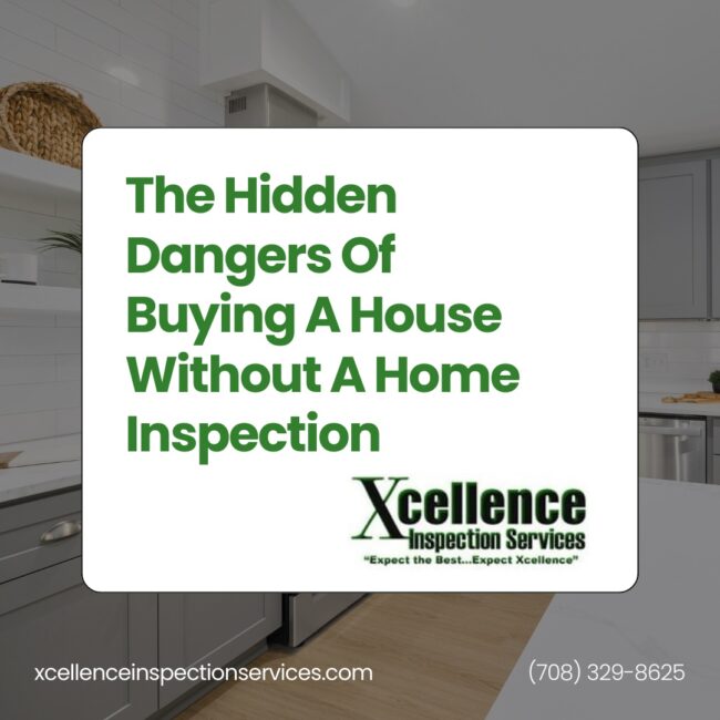 Xcellence Inspection Services The Hidden Dangers Of Buying A House Without A Home Inspection Xcellence Inspection Services The Hidden Dangers Of Buying A House Without A Home Inspection