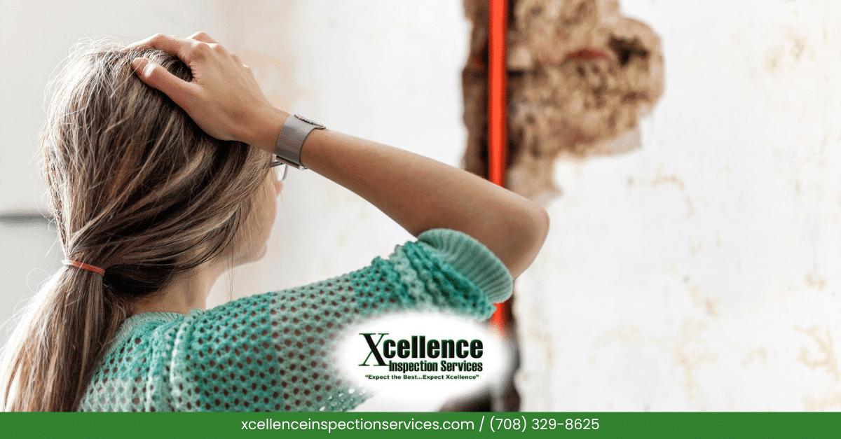 When To Walk Away After A Home Inspection: Red Flags You Can’t Ignore